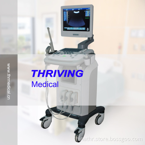Digital Ultrasound Scanner (THR-US9902)